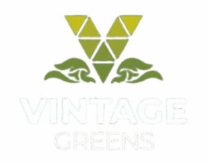 Vintage Greens Logo